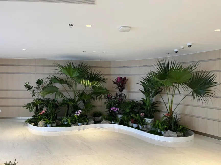 想找实惠绿植租赁？宁波海曙这里别错过！